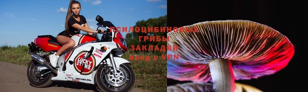 синтетический гашиш Алексин