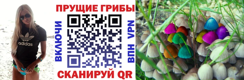мориарти наркотические препараты  Губкин  Псилоцибиновые грибы ЛСД 