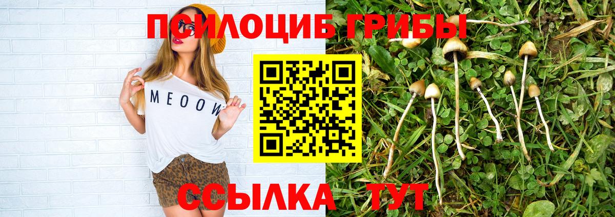 Галлюциногенные грибы Cubensis Губкин