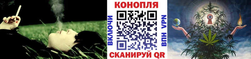 Каннабис конопля как найти Губкин